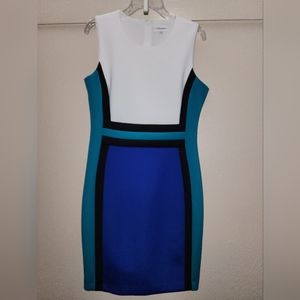 Calvin Klein Colorblock Dress Women's  12